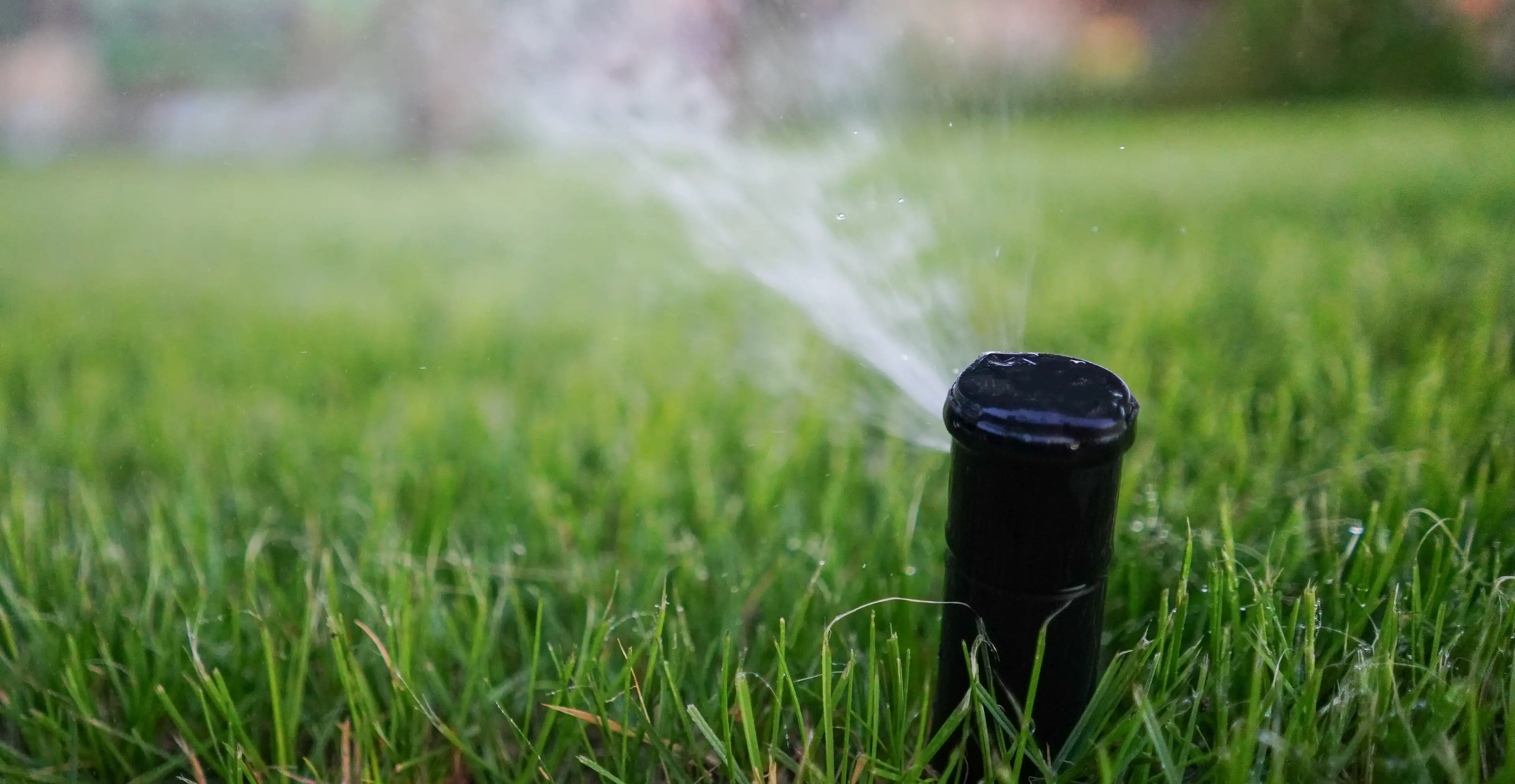 Background Sprinkler,